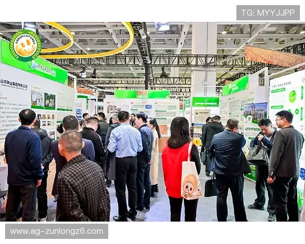 凯时官网网址官方入口最新版本，稳定安全的登录平台推荐