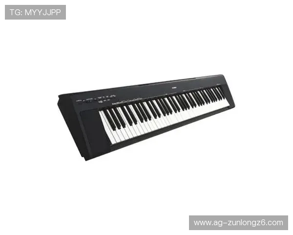 尊龙人生就是博首页安全系统升级，全面防范网络风险保障玩家权益