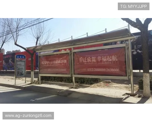 深入了解尊龙d88会员登录，提升您的游戏胜率