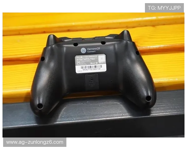 Z6尊龙官网登录平台最新入口，安全稳定支持多设备畅玩体验